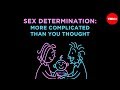 Sex Determination: More Complicated Than You Thought