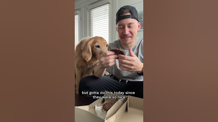 Dog on a diet gets a cheat meal 🍔 tasting like @EllieGoldenLife