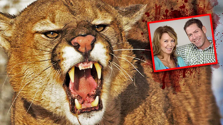 Mountain Bikers VICIOUSLY ATTACKED & DEVOURED By Mountain Lion