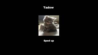 tadow sped up (TikTok)
