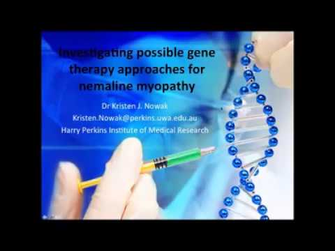 Video: Nebulin-Nemalin-Myopathie, Rekapituliert In Einem Zusammengesetzten Heterozygoten Mausmodell Mit Sowohl Einer Missense- Als Auch Einer Nonsense-Mutation In Neb