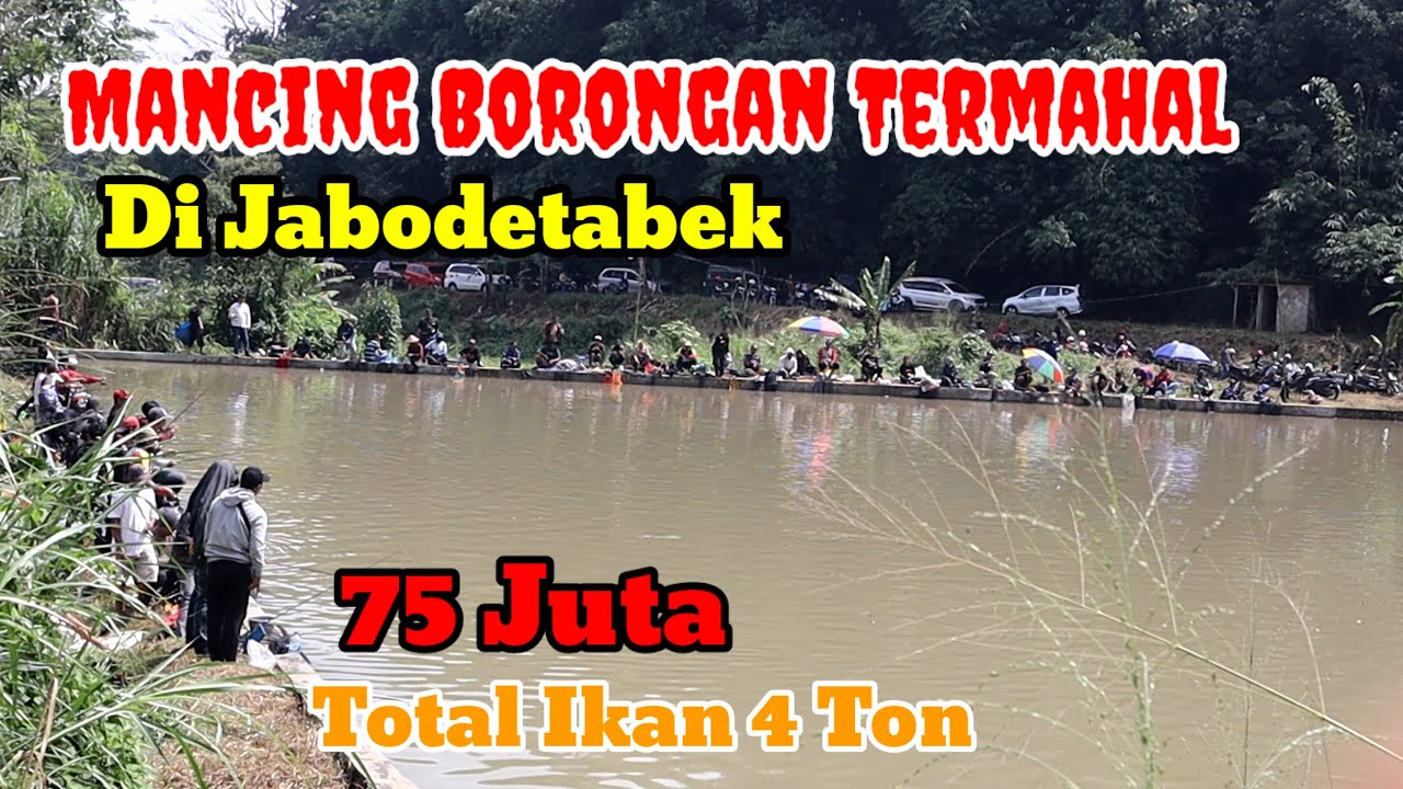 SEMUA ANGLER KECAPEAN NARIK IKAN 4 TON | MANCING BORONGAN 75 JUTA DI BOGOR