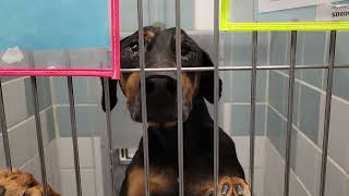acs A664628