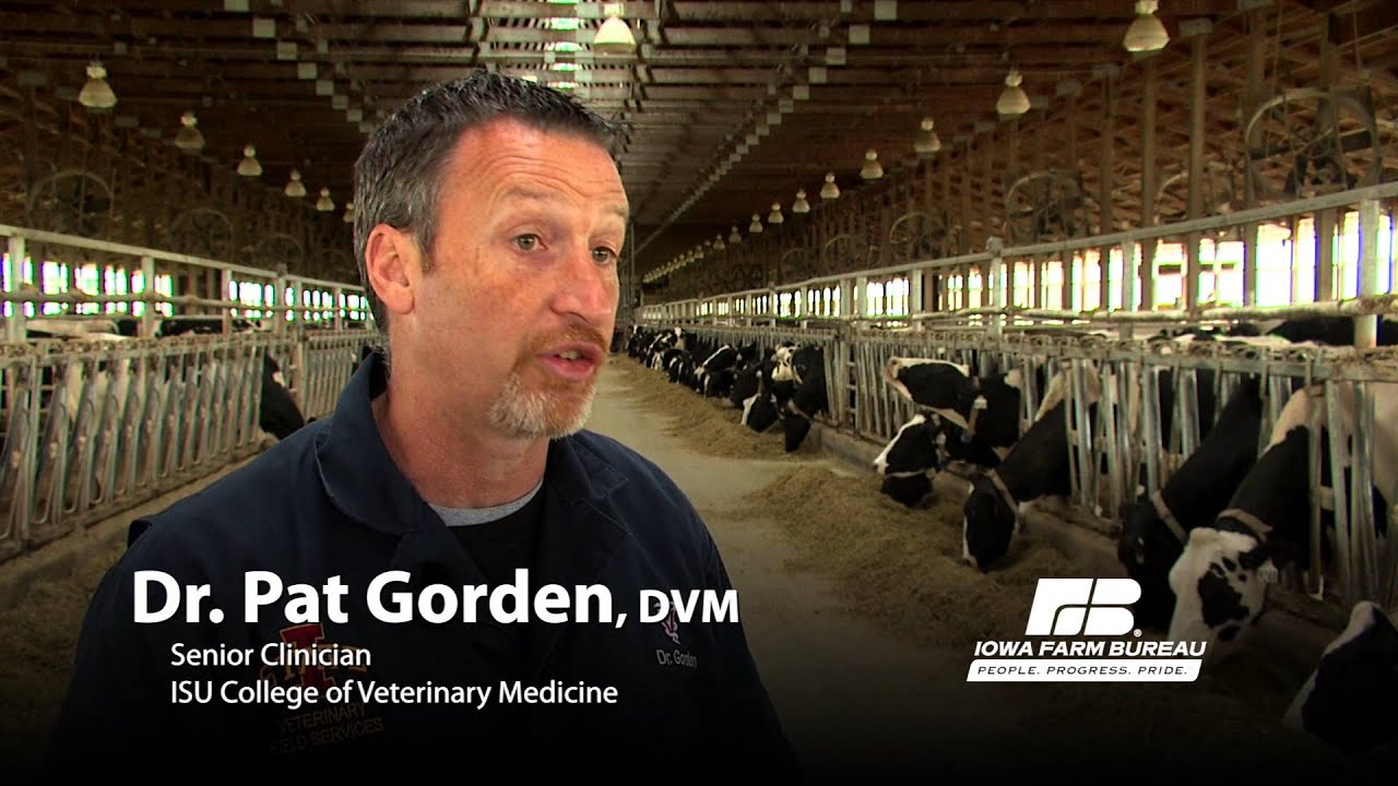 Iowa Minute: Farmers work with veterinarians to keep livestock healthy