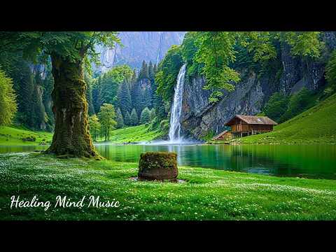 Gentle Healing Music 🌿 Relaxing Piano Music and Nature Sounds for Anxiety Relief and Deep Sleep