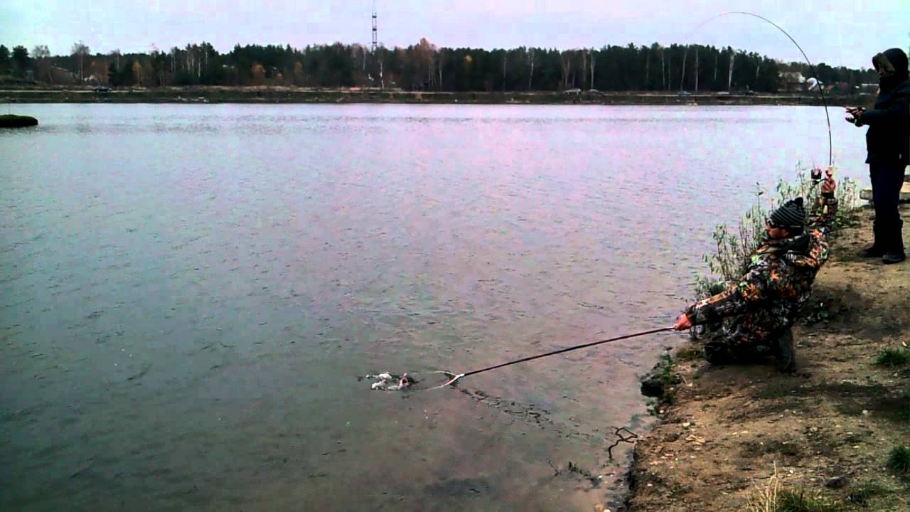 Trout Fishing in Mars. (Moscow Area, Biserovo) YouTube