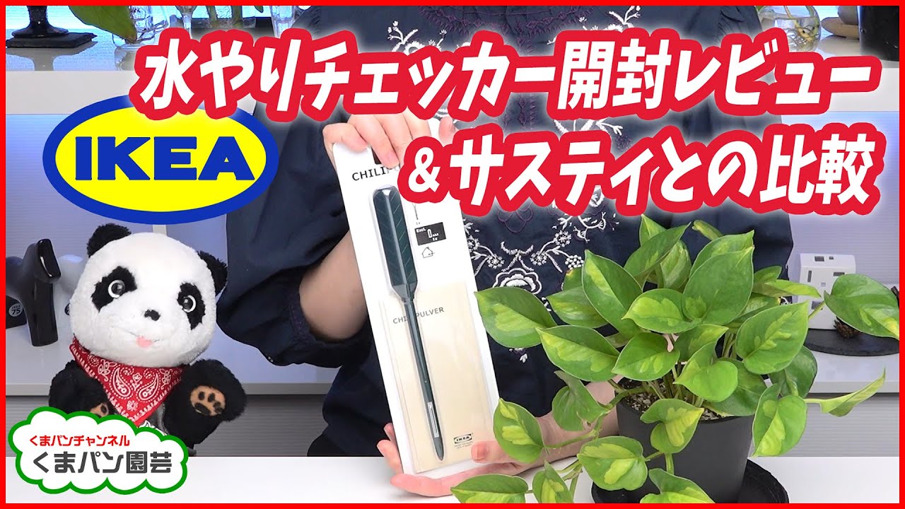 Ikea水やりチェッカー開封レビュー サスティとの比較 くまパン園芸 Youtube