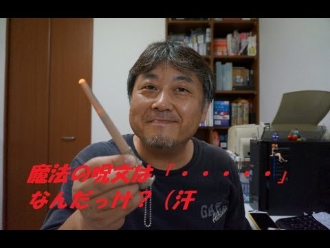 呪文がわからねぇ~ 「ハリー・ポッター杖コレクション」