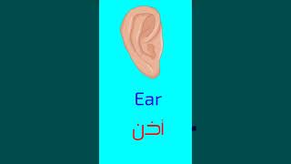 #انجليزي #Learn_ #تعلم_اللغة_الانجليزية #learn_english