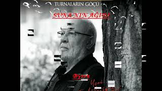 Sunanin Ağidi