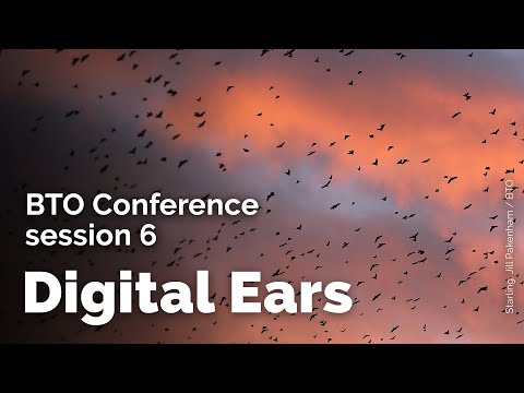 BTO Conference: Session 6 - Digital Ears