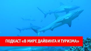 18. Галапагосские пингвины и морские львы, акулы молоты и коралловые рыбы