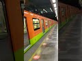 El Caiman en la línea 12 del metro en Cdmx, así se ve de lindo