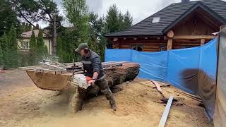 Gigantyczny Dąb z Wielkopolski krojony na ziemiach lubelskich. A giant oak