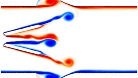 Pulsatile flow about a St Jude Medical mechanical heart valve
