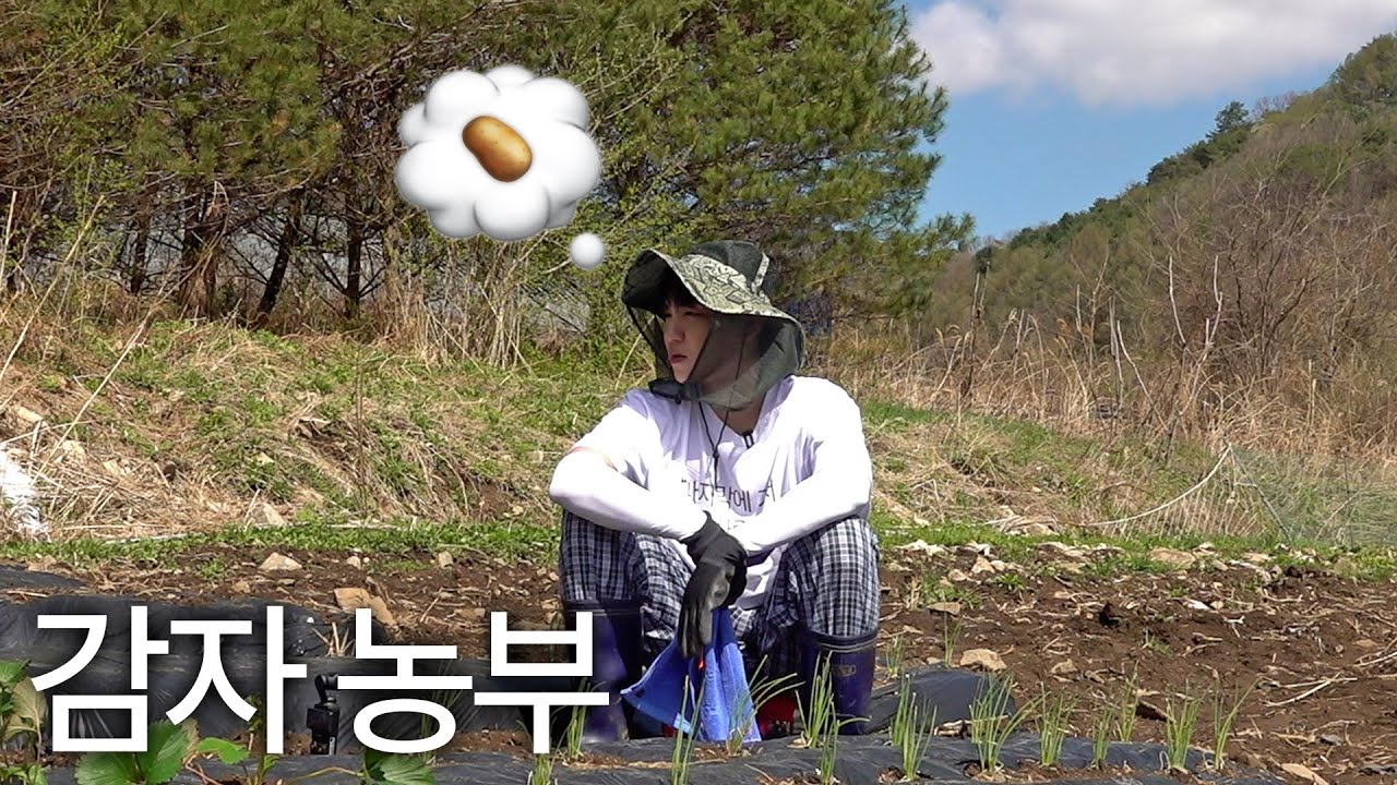 [ENG] 감자 심은 데 감자 난다 (당연함)