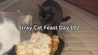 Stray Cat Feast Day 102 by SW 282 views 3 months ago 45 minutes