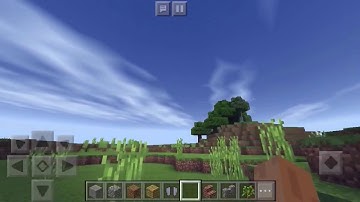 SSPE lightweight shader review