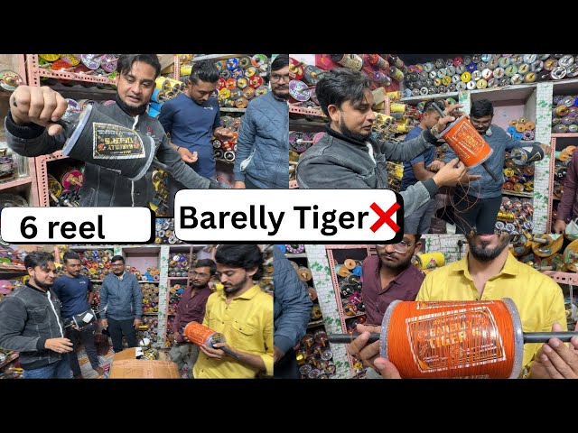 Barely Tiger / 6 reel /#YouTube#india#viral#viralshort#viralvideo#handipura#wholesale#jaipur#Rashid