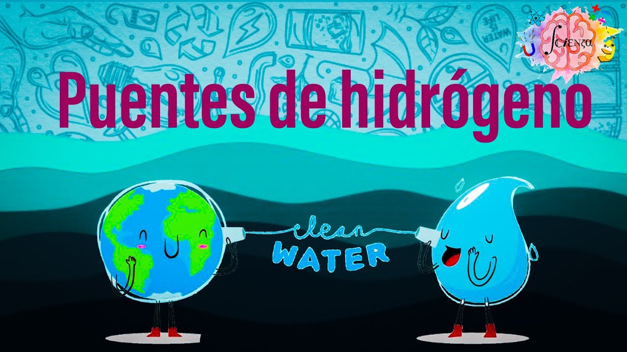 Puentes de hidrógeno en 3 minutos ¿Qué son y cómo se forman? YouTube Puentes de hidrógeno en 3 minutos ¿Qué son y cómo se forman? YouTube