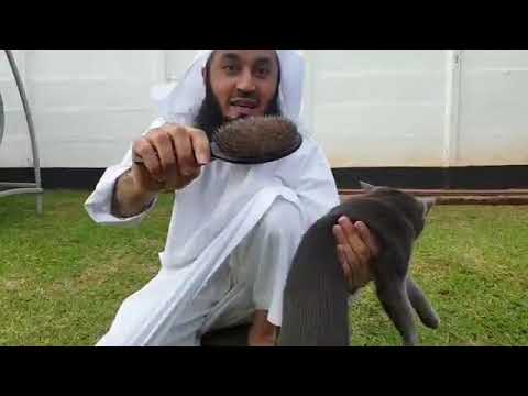 Make sure you take care of your pets! - Mufti Menk