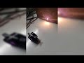 Coherent FAP800 40W 808nm fun