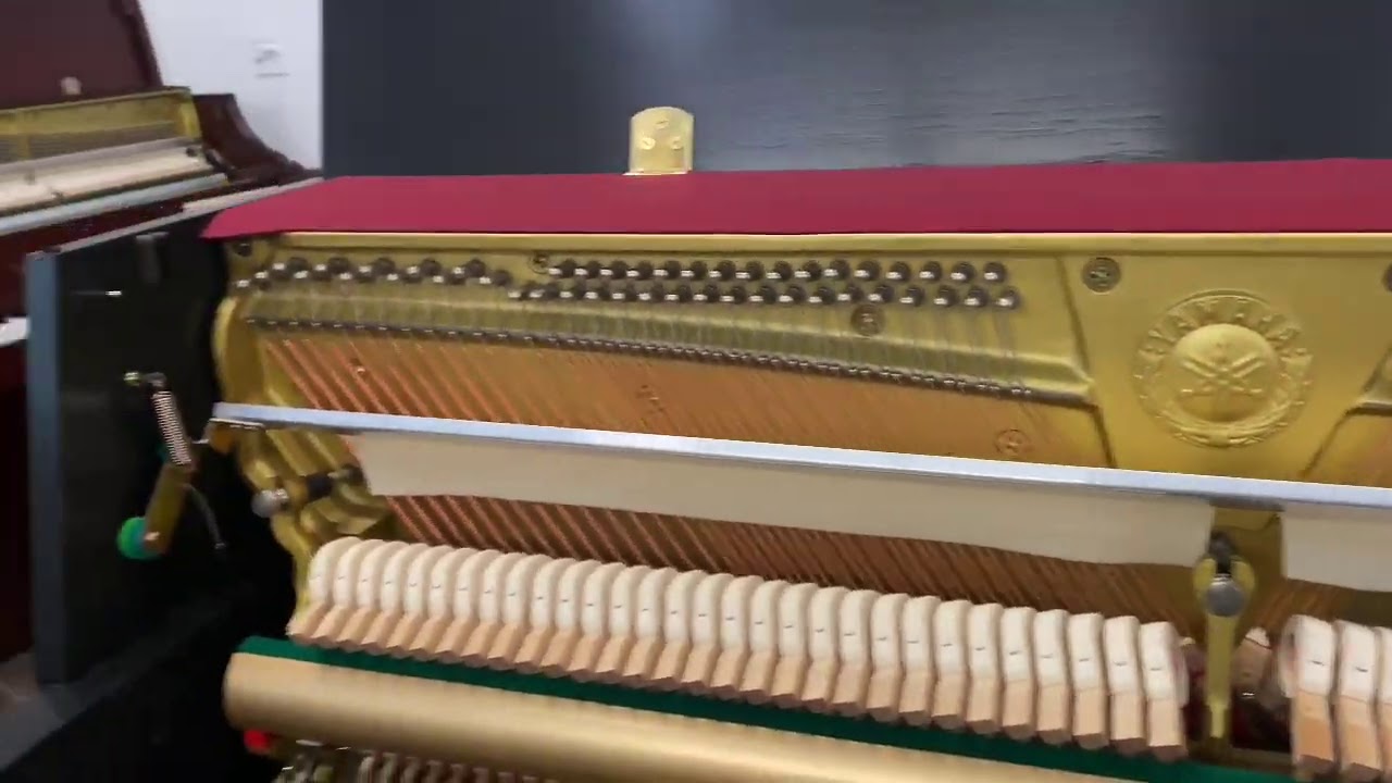 Yamaha P22 Practice Rail