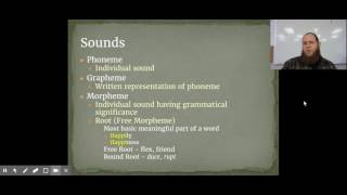 Phonemes, Graphemes, and Morpheme