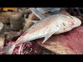 Express Speed Cuttings of Monster size Trevally fish| Masters of fish cutting#19