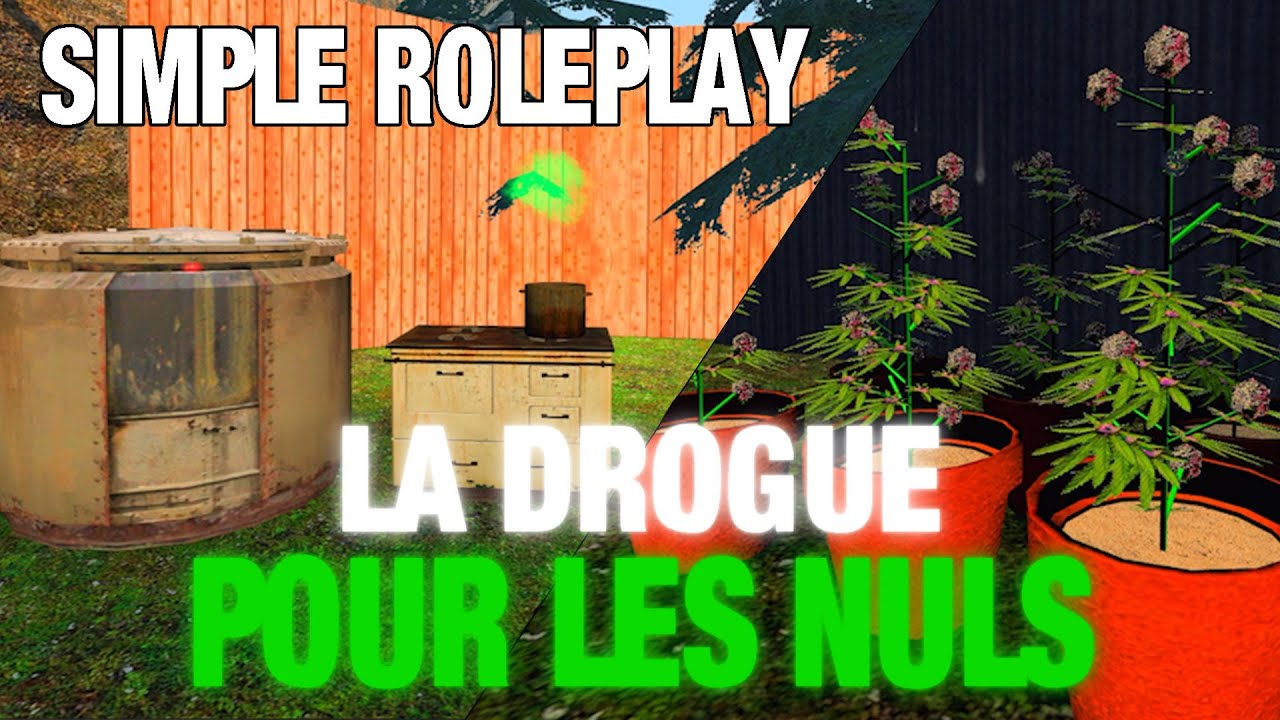 La drogue sur Simple Roleplay (explications, conseils, précisions...)