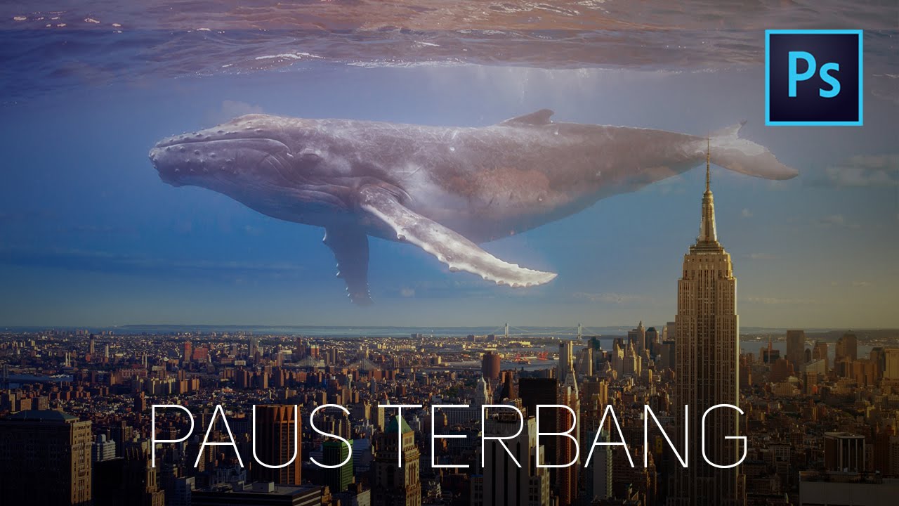  Cara  edit foto ikan  paus  terbang dengan  Photoshop 