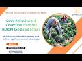 #504 SIPHACOS Good Agricultural & Collection Practices GACP Explained Simply