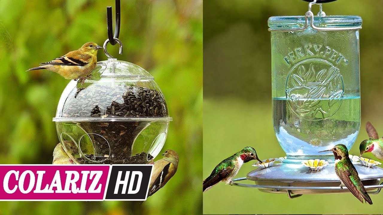 Must Look 55 Cool Artistic Bird Feeders You Must Watch For