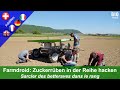 Erfahrungen mit dem Feldroboter Farmdroid FD20: Zuckerrüben säen und hacken in der Reihe