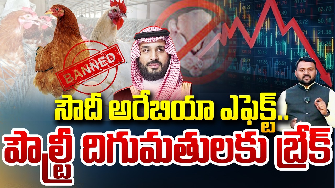సౌదీ అరేబియా ఎఫెక్ట్.. పౌల్ట్రీ దిగుమతులకు బ్రేక్ | Saudi Arabia Effect On Poultry | 99TV Telugu