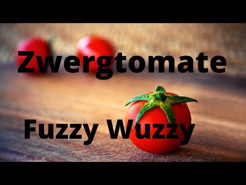 Video: Wie funktioniert FuzzyWuzzy?