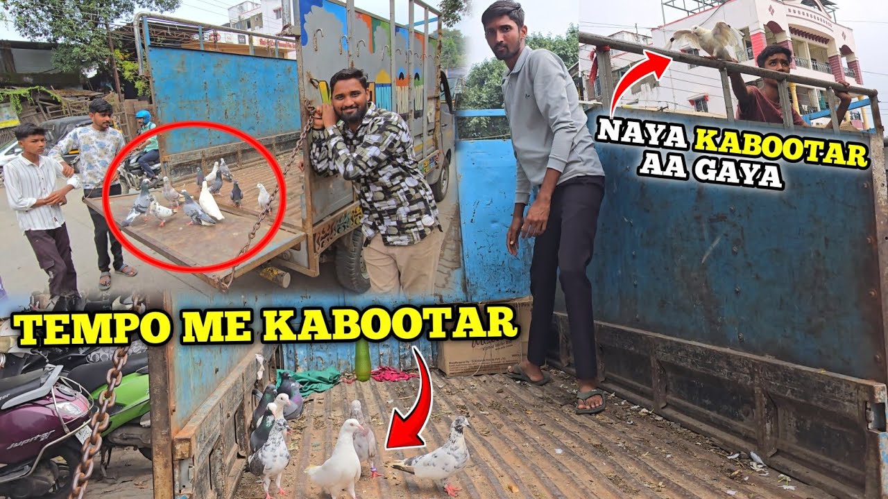 First Time Apne Kabootar Ko Tempo Me Leke Gaya 😲