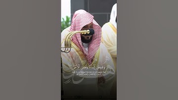 ما تيسر من سورة هود | تلاوة فضيلة الشيخ د.#ماهر_المعيقلي