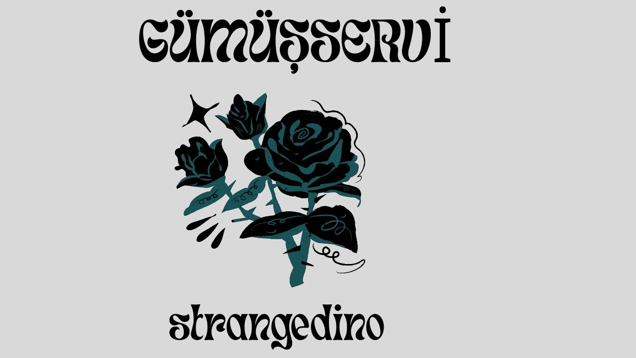 Gümüşservi 1.Bölüm - Kaçık Avukat