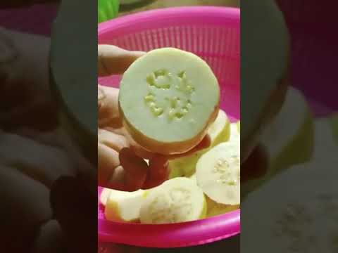 طريقة تخزين الجوافة في الفريزر بدون ما تسود لفترة طويلة وتفضل ك الطازجة بالظبط