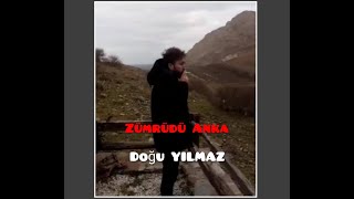 Doğu YILMAZ - Zümrüdü Anka Resimi