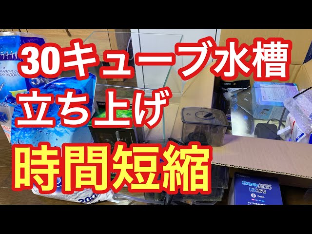 30キューブ水槽立ち上げ 時間短縮 海水水槽 30㎝ 海道河童