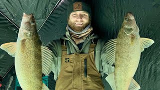 3 Walleye Back-to-Back! Ice Fishing Lake Erie for Giant Walleye