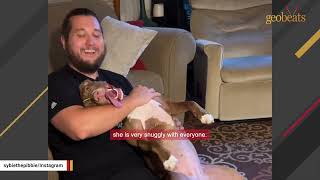 Unwanted dog is so happy when she finally gets adopted