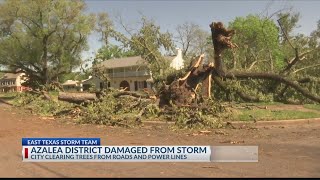 Azalea District in Tyler damaged from severe storms, city works to clean up debris