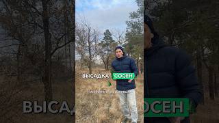 #обрезкадерева #обрезкасада #обрезкасосны #обрезкаяблони #обрезкагруши #обрезкачерешни #садоводство