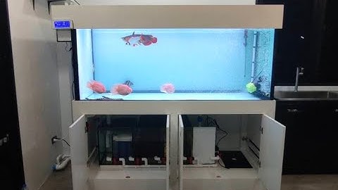 NC. Services : อธิบายงานระบบ Overflow Full Services โดยทีมงาน Nanconnection (NC.) 2021