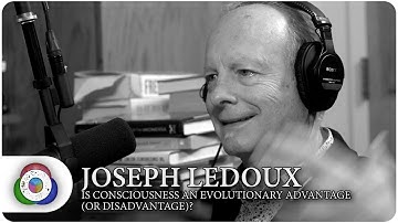 Joseph LeDoux - Is Consciousness an Evolutionary Advantage (or Disadvantage)?