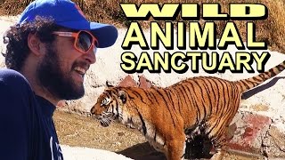 Wild Animal Sanctuary
