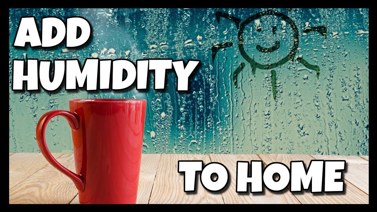 How To Add Humidity To Your Home 📍 How To With Kristin